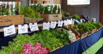 Fresh Kirsop Farm Produce at the Market